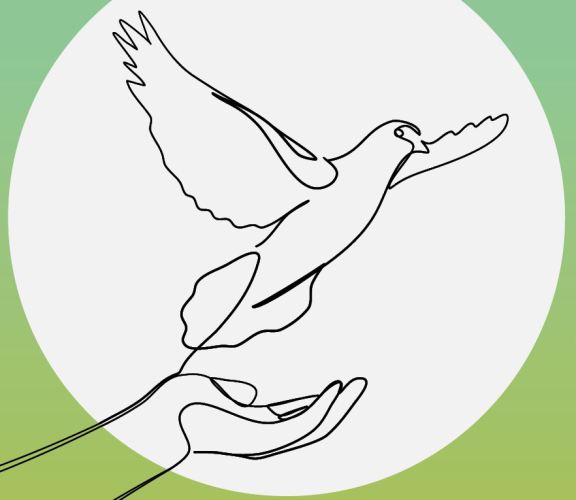 Bild für IANUS-Preis 2023: eine Taube beginnt zu fliegen